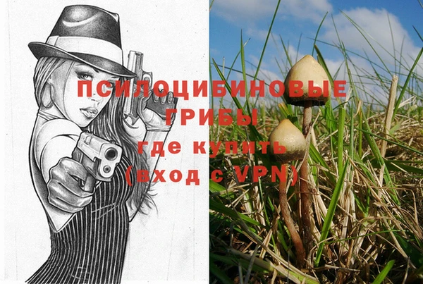 сатива Алексеевка