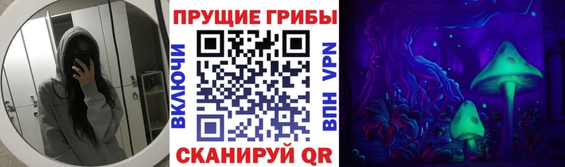 Галлюциногенные грибы Cubensis  наркошоп  Ипатово 
